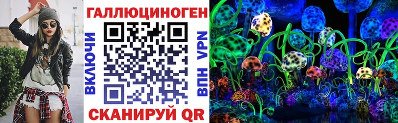 darknet телеграм  Петухово  Галлюциногенные грибы Psilocybe 