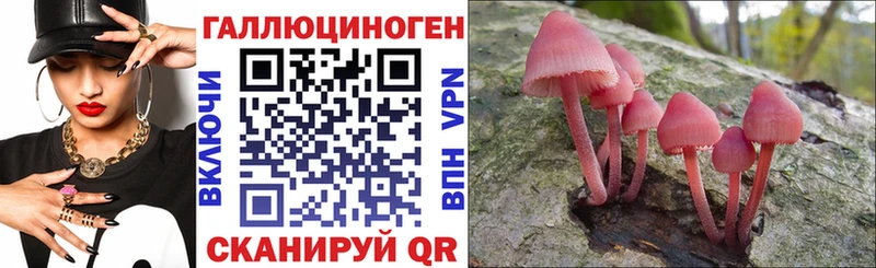 Галлюциногенные грибы Psilocybine cubensis Петухово